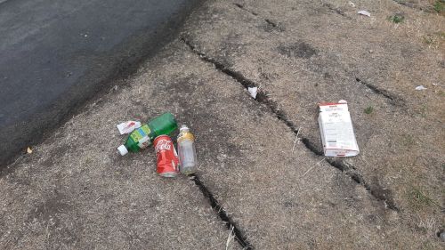 Забота о парке — ответственность каждого