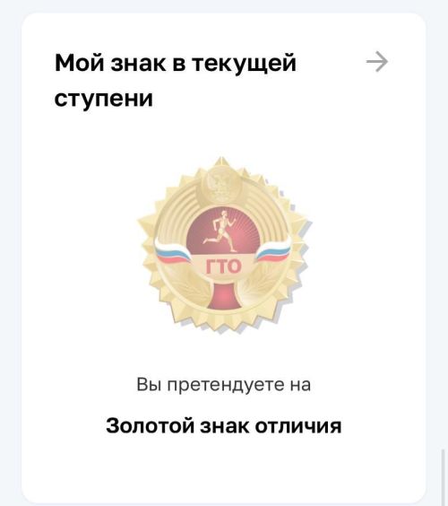 Выпускники Мензелинска уже видят знаки отличия ВФСК ГТО в личных кабинетах