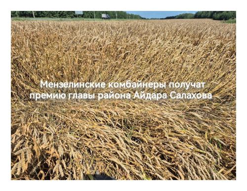 Мензелинские комбайнеры получат премию главы района Айдара Салахова