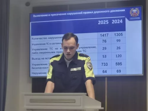 Статистика дорожно-транспортных происшествий в Мензелинском районе за 2025 год