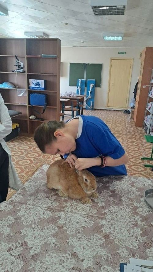 Студентка Мензелинского техникума победила в региональном чемпионате «Абилимпикс»