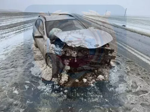 В Заинском районе в ДТП с выездом на встречную полосу погибла пассажирка