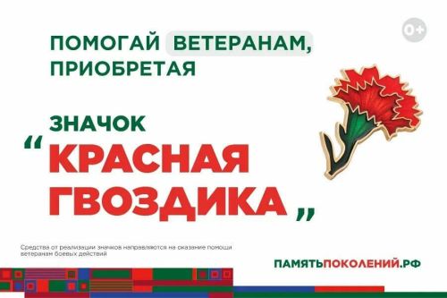 «Красная гвоздика» в Татарстане: где купить значок и как помочь фронтовикам