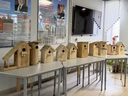 Юнармейцы первой школы подарили птицам новые домики