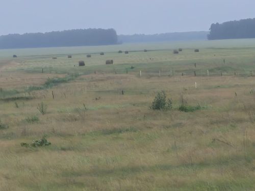 Дожди нужны, но мешают заготовке сена