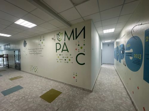 Строительство новой школы в микрорайоне Садак продолжается