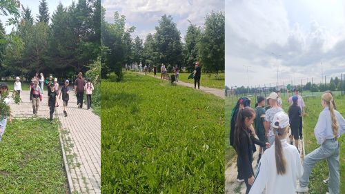 ПДД на отлично: как в школе № 3 провели День безопасности