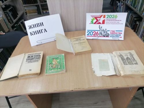 Атряклинская библиотека открыла «Книжный госпиталь»