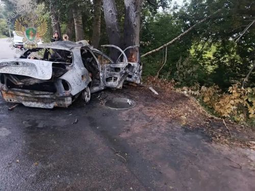 В Зеленодольске произошло смертельное ДТП с шестью погибшими