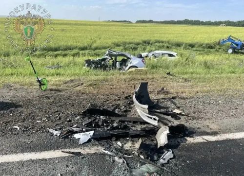 В Новошешминском районе произошло смертельное ДТП