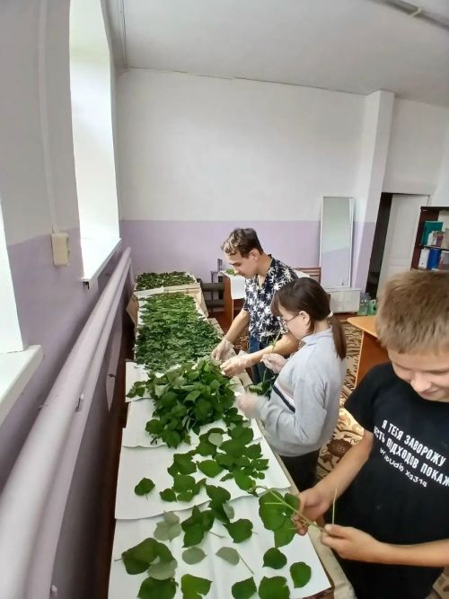Мензелинцы собрали душистые травы для участников СВО