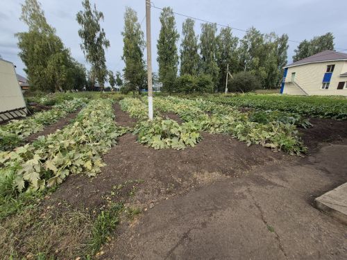 Минзәлә районы авылларындагы демография үзенчәлекләре