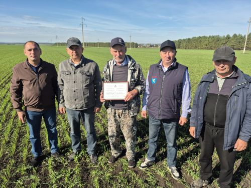 Двое агрономов Мензелинского района вошли в Доску почёта Татарстана
