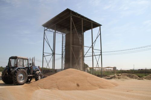 Минзәлә районы ындыр табакларына 137 мең тонна ашлык кайтарылды