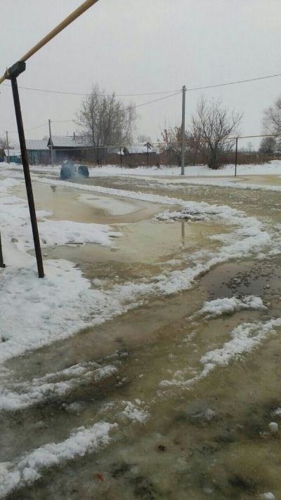 Ренат Шайхетдинов: Не только бобры виноваты в затоплении деревни Куяново Мензелинского района
