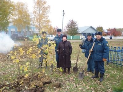 В Кузембетьево посадили деревья