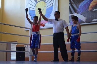 Мензелинцы приняли участие во Всероссийском турнире по боксу