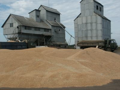 Хлеборобы Мензелинского района намолотили 100 тысяч тонн зерна