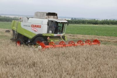 Уборка зерновых в Мензелинском районе завершена на 28%