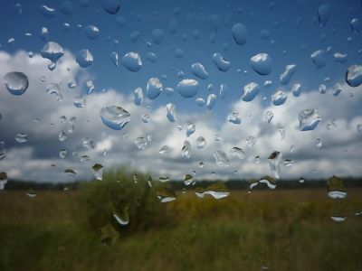 Дожди принесли продуктивную влагу на Мензелинскую землю 