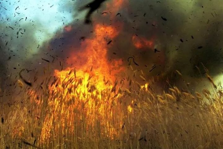 В Альметьевском районе в поле заживо сгорел мужчина
