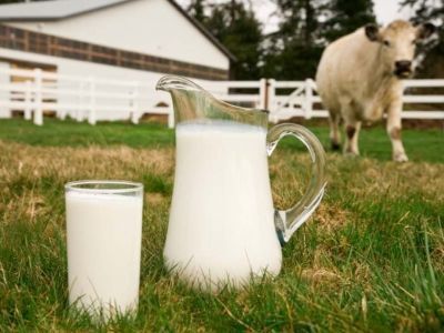 Мензелинцам производить молоко станет выгодно