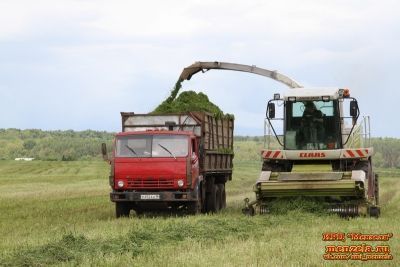 Мензелинские аграрии активно заготавливают корма
