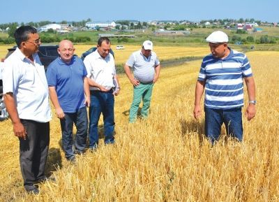 На рекордном поле побывал министр сельского хозяйства и продовольствия РТ Марат Ахметов