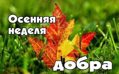 С 25 сентября стартует традиционная ежегодная акция «Осенняя неделя добра - эстафета добрых дел»