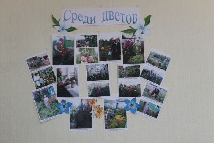 Специалистами КЦСОН была организована фотовыставка «Среди цветов»
