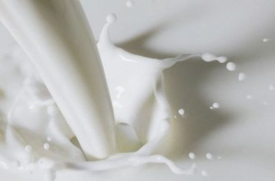 В Мензелинском районе молоко принимают по 14 рублей 80 копеек