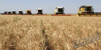 Земледельцев Татарстана оценили на эффективность