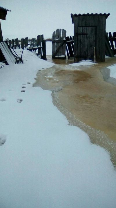 В Госкомитете Татарстана прокомментировали ситуацию с затопленной бобрами деревни в Мензелинском районе
