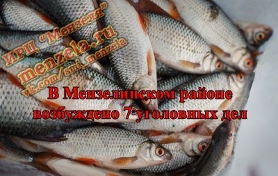 Из-за 5-6 килограммов рыбы мензелинцы могут получить условный срок 