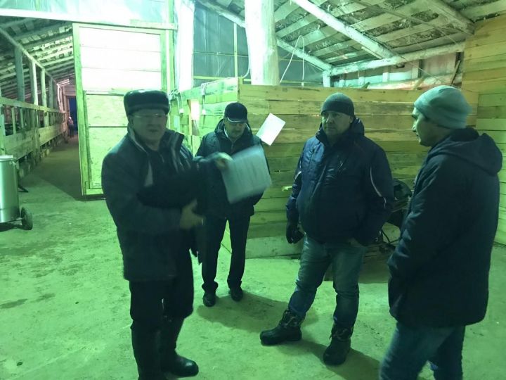 Начальник УСХиП в Мензелинском районе Юрий Исламов провёл еженедельный сельскохозяйственный объезд