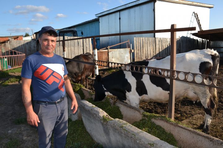 Жители Наратлыкичуского сельского поселения повышают свою деловую активность