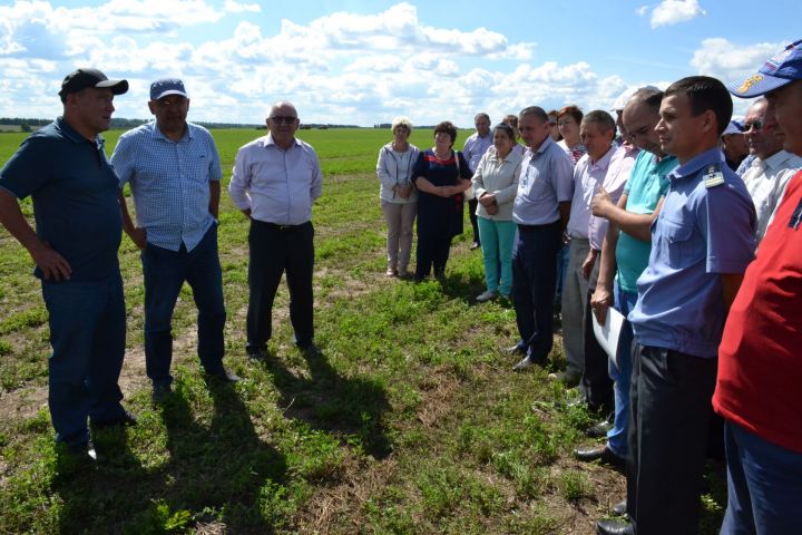 Марат Ахметов признался, что от мензелинских хлеборобов ждет большой урожай