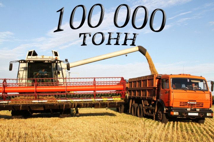 Мензелинские хлеборобы намолотили более 100 тысяч тонн урожая
