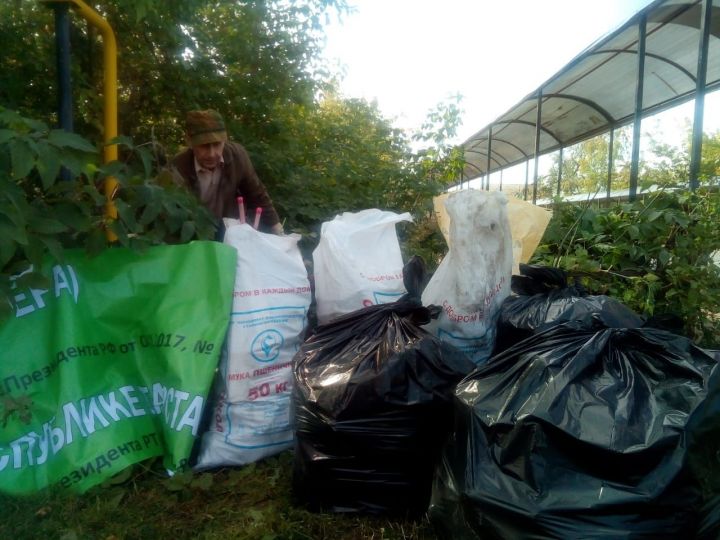 Жители Мензелинска не помогли активистам убрать мусор