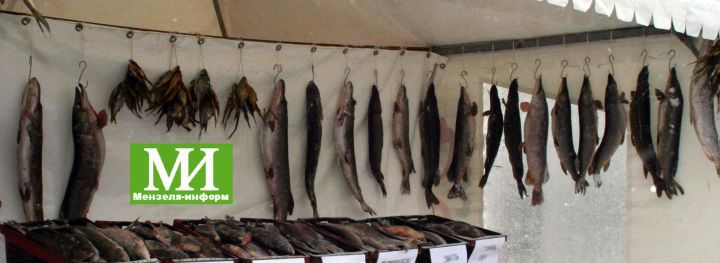 Цены на рыбу в Мензелинске