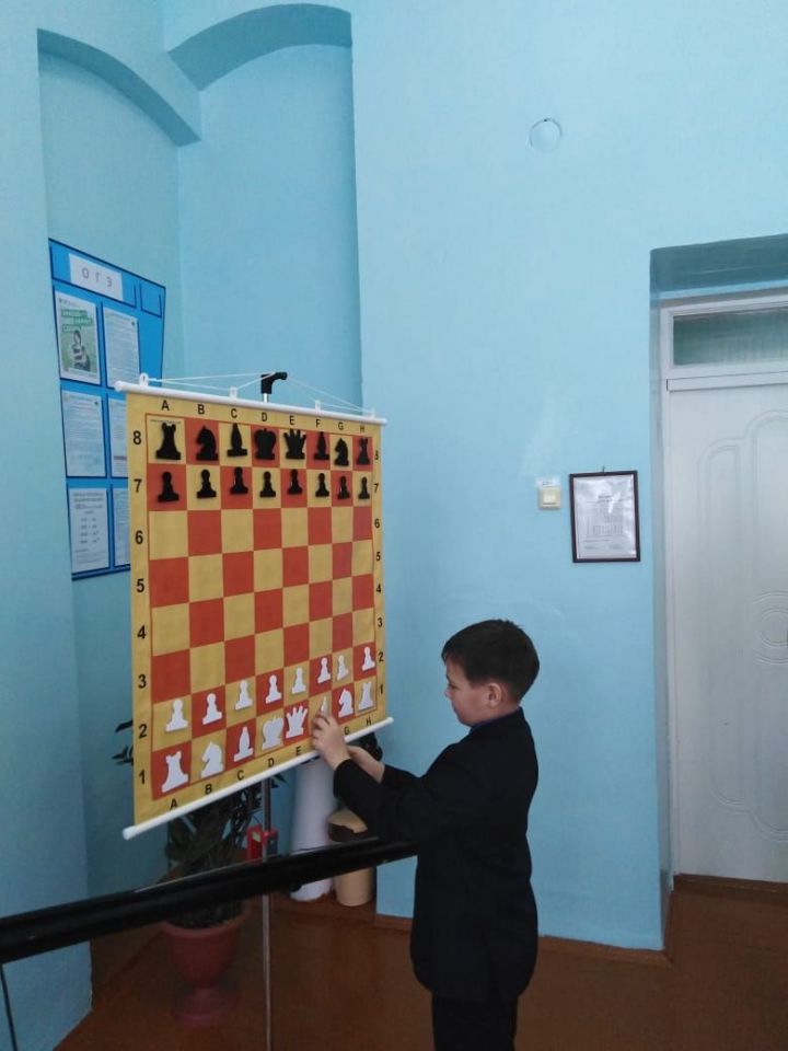 Мастер-класс по шахматам в Николаевке