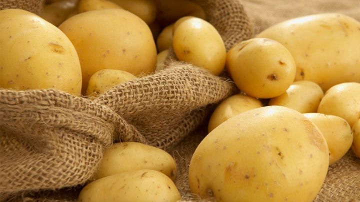 В Татарстане завершилась уборка картофеля