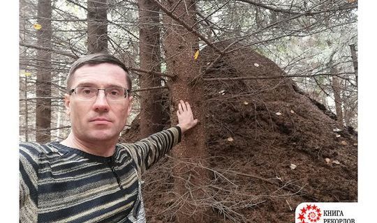 Татарстанский журналист обнаружил самый большой муравейник в России