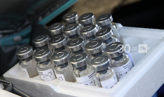 В Татарстан прибыла вторая партия вакцины от гриппа для взрослых