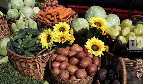 Опрос: каждый третий городской житель Республики Татарстан покупает продукты у фермеров раз в месяц