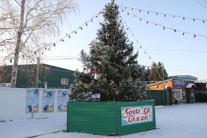 В Кузембетьевском РМЗ установили новогоднюю елку