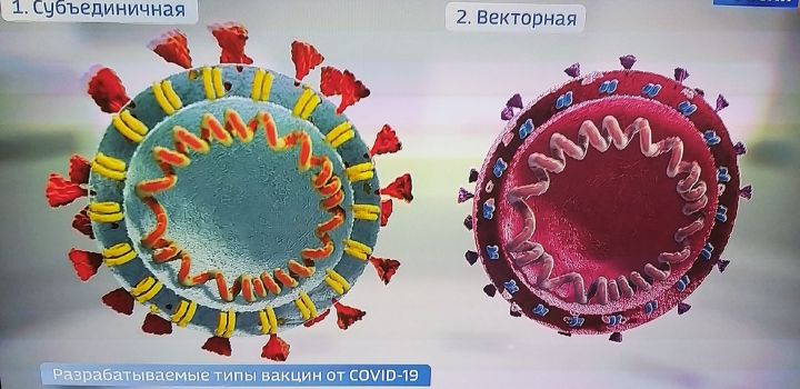 Мензелинск чист от заразы, но вирус опять проявил себя в Челнах, Сармановском, Тукаевском районах