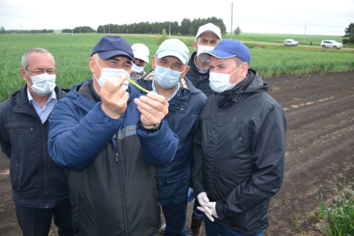 Министр сельского хозяйства Татарстана Марат Зяббаров ознакомился с Мензелинским районом