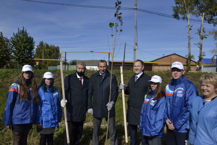 Депутаты Совета Мензелинского района посадили 65 деревьев