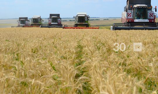 Рустам Минниханов призвал максимально внедрять цифровые сервисы в аграрном секторе